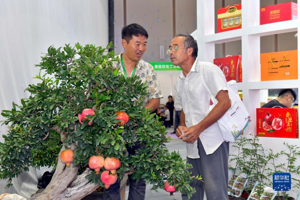 澳门新葡东下载