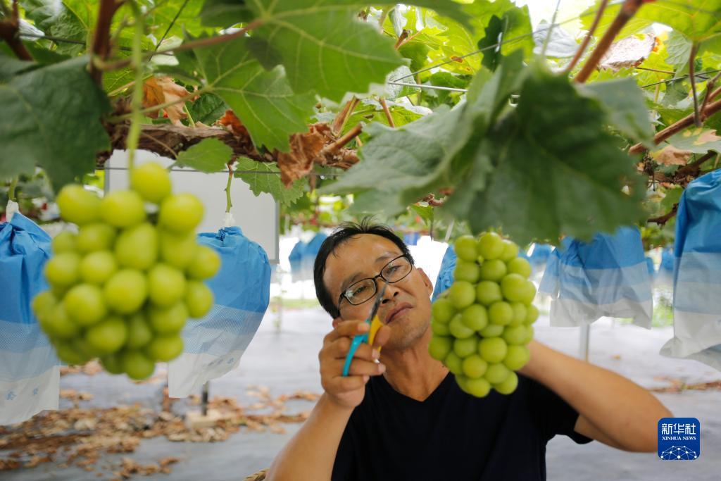欢迎你到公海 欢迎你来到赌船