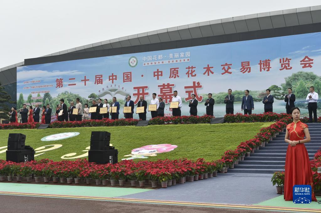 华人捕鱼下载